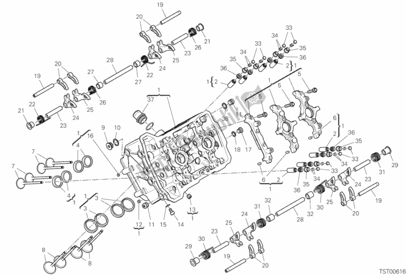 Alle onderdelen voor de Voorhoofd van de Ducati Superbike Panigale V4 S USA 1100 2019